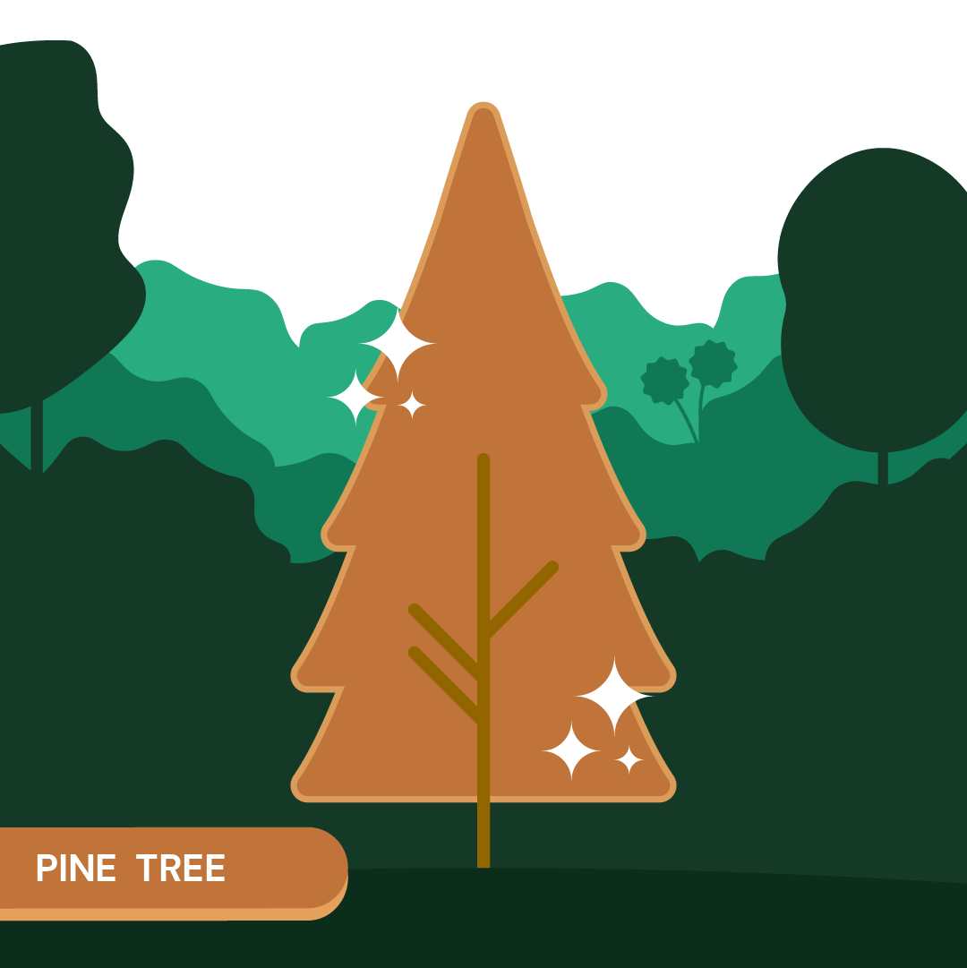 Pine